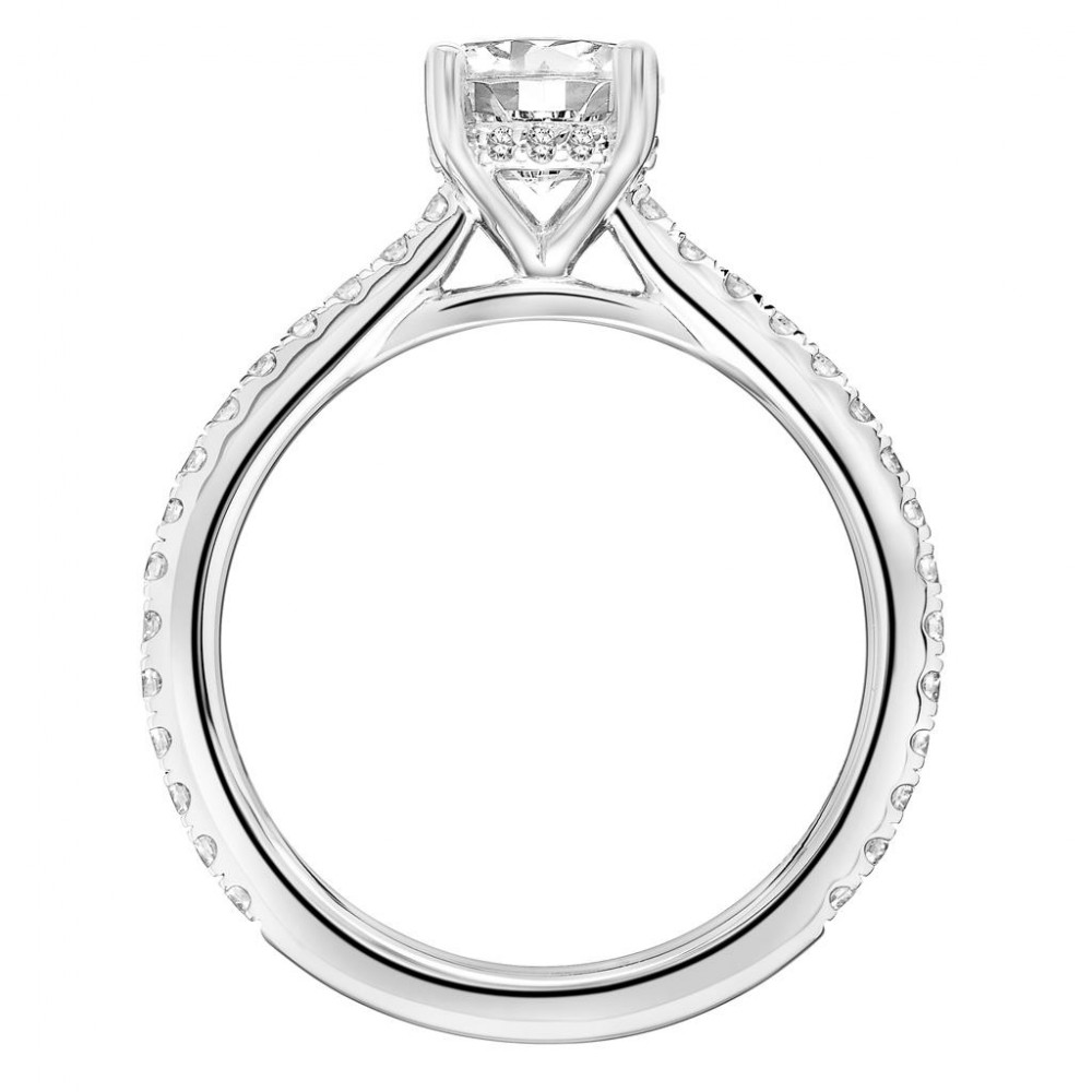 Diamond Engagement Ring with Petite Diamond Shank