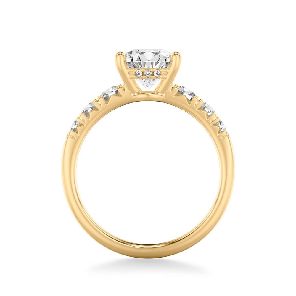 Diamond Engagement Ring with Graduated Side Diamonds